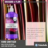 Palm Safe Rhubarb and Plum Hand Sanitiser 1 Litre Pump Bottle view 3
