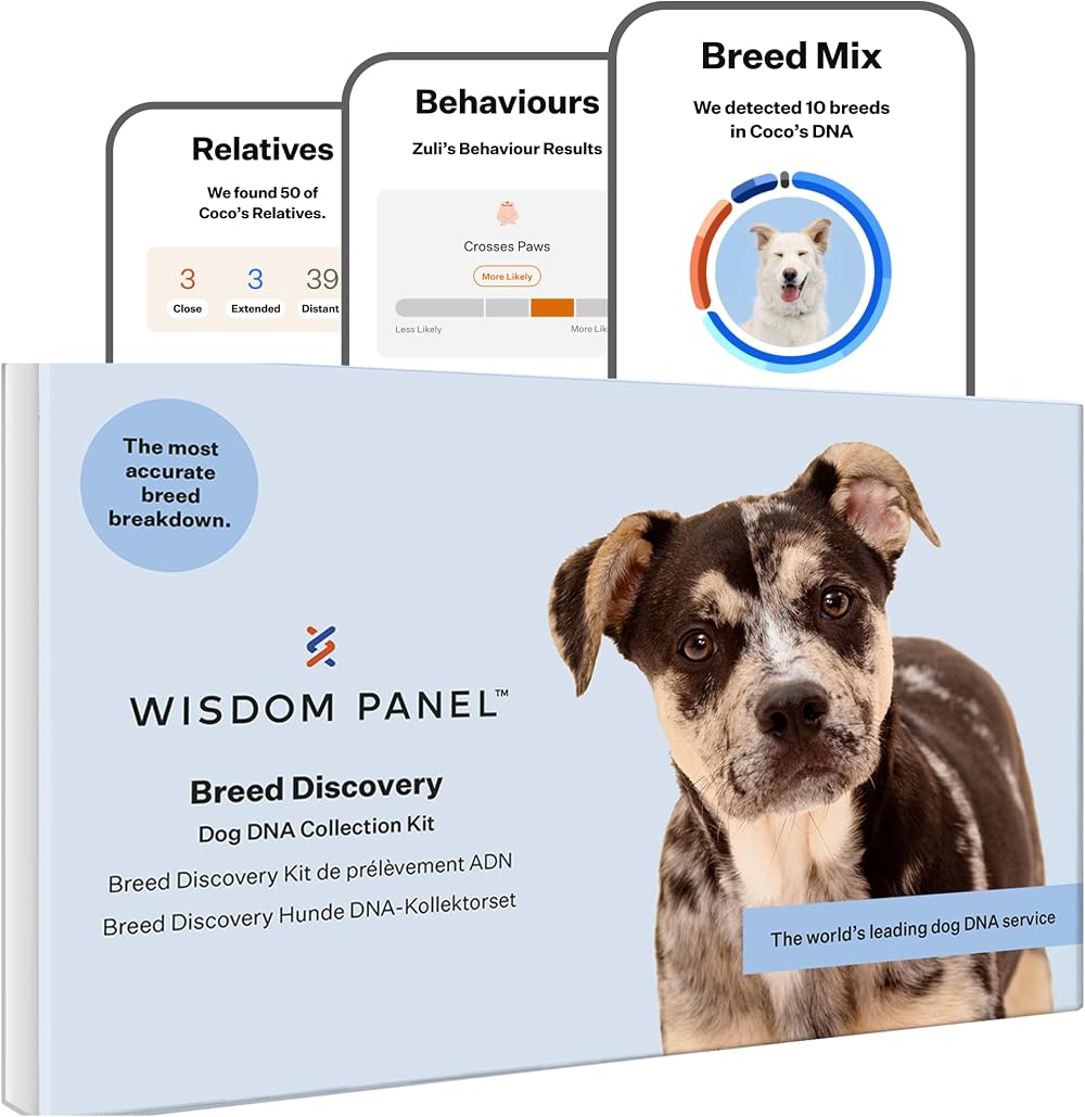 Wisdom Panel Breed Discovery Dog DNA Test Kit – MDR1, Ancestry, Relatives