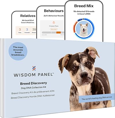 Wisdom Panel Breed Discovery Dog DNA Test Kit – MDR1, Ancestry, Relatives