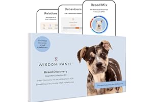 Wisdom Panel Mixed Breed DNA Test Kit