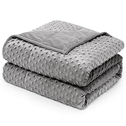Wemore Minky Dot Weighted Blanket for Adults Twin