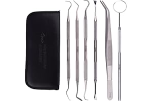PLEASANT MEDICAL INSTRUMENT Dental Tools Kit for Teeth Cleaning, Plaque Remover, Metal Stainless Steel Professional Dental Pick, Oral Care, Dental Hygiene - with Case 6 PCS