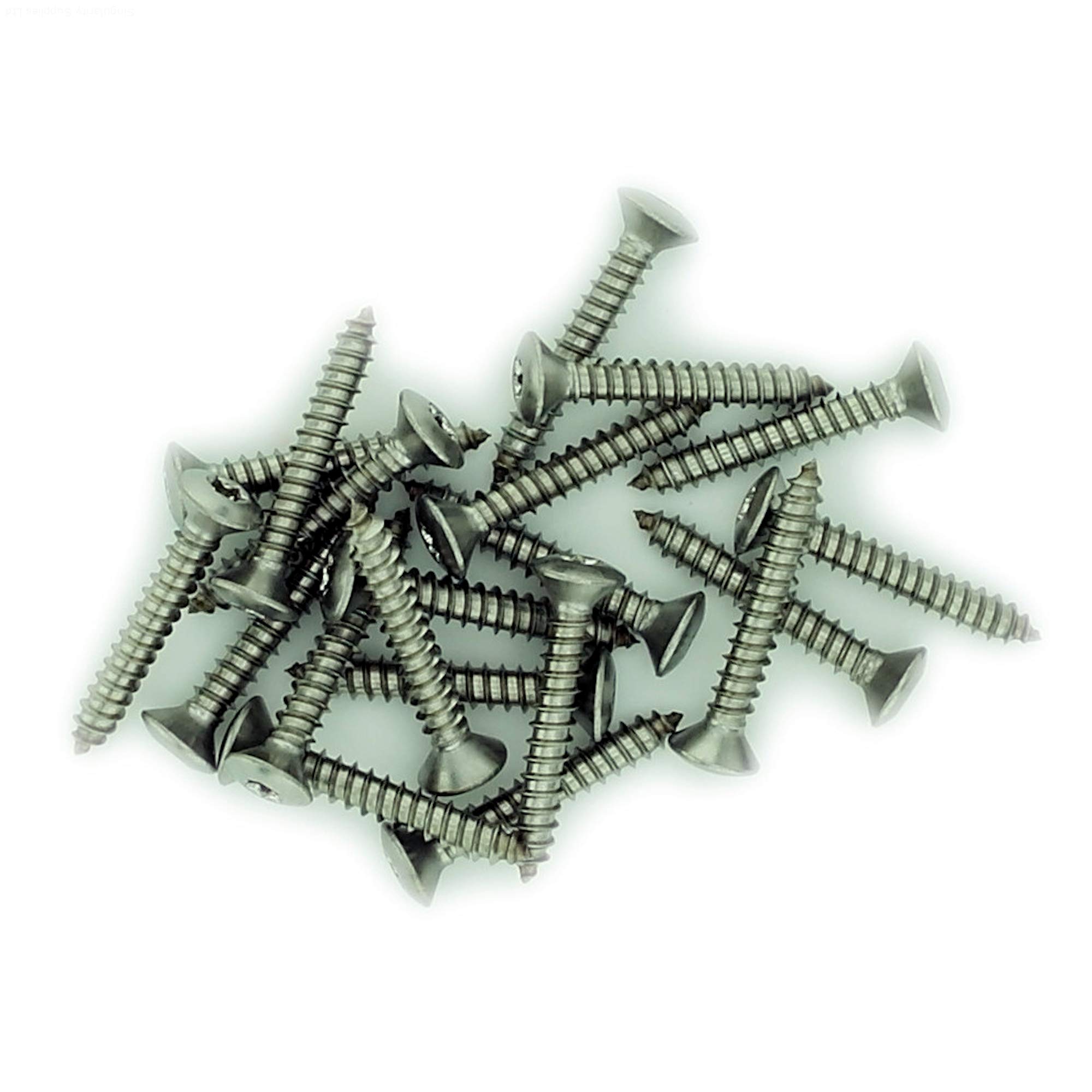 No.6 x 1.25 (3.5mm x 32mm) TX Raised Countersunk Self-Tapping Screw - Stainless Steel (A2) (Pack of 20) — image 1