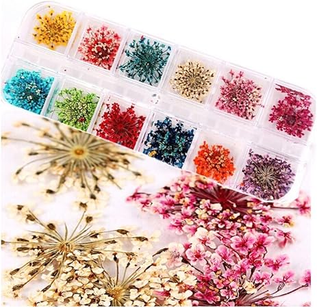 Amazon Makeupacc ネイル3d押し花 ドライフラワー 12色 天然の花 ネイルアクセサリー ナチュラルフラワー 並行輸入品 Makeupacc ネイルアートパーツ 通販