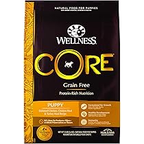 wellness core grain free