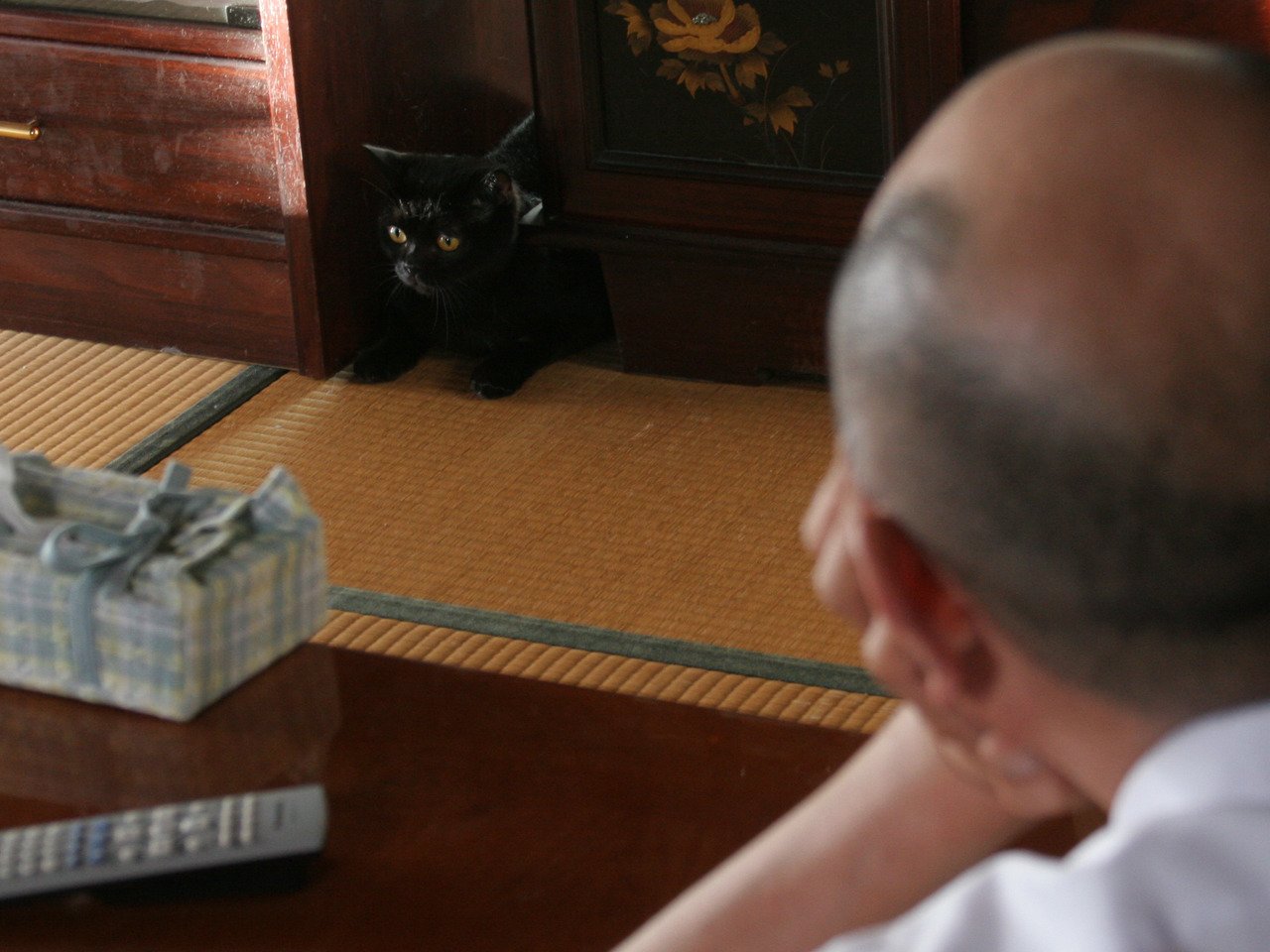 Amazon Co Jp ドラマ版ねこばんを観る Prime Video Amazon Co Jp ドラマ版ねこばんを観る Prime Video