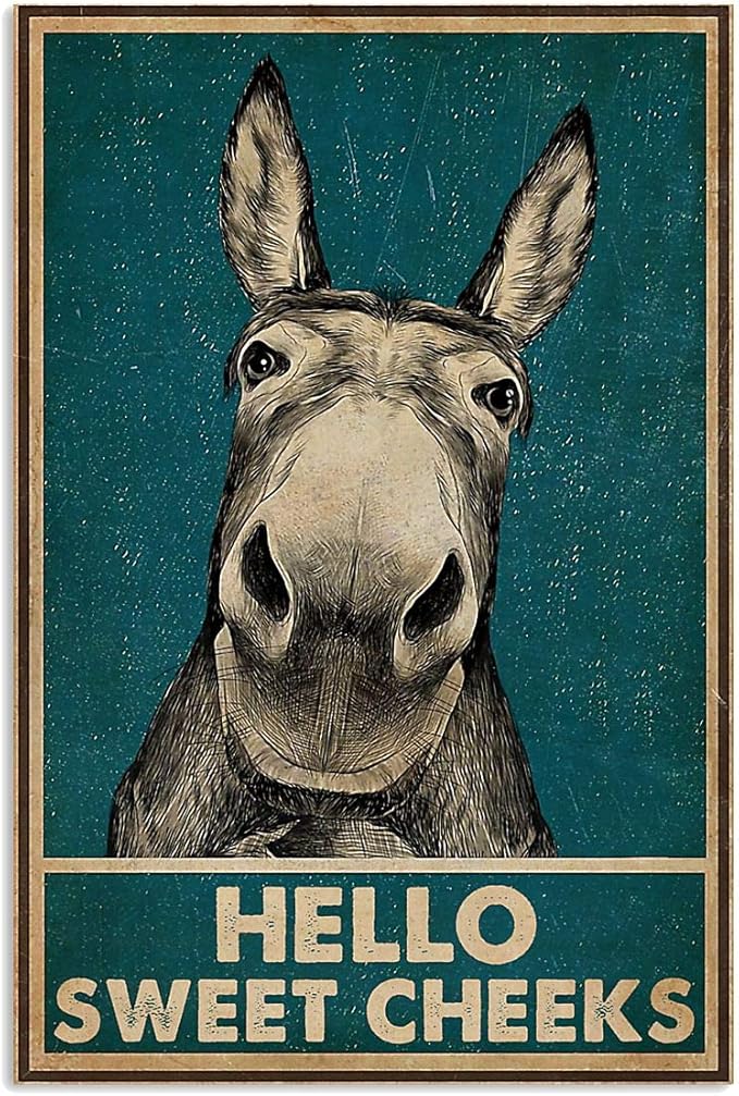 Vintage Hello Sweet Cheeks Donkey Funny Donkey Vintage