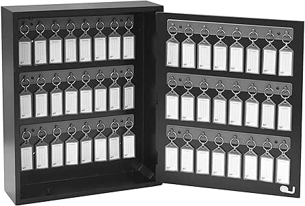 Acrimet Armario Organizador para 48 Llaves y Cerradura (Montaje en