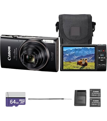 Amazon.com : Canon PowerShot IXY 650 (ELPH 360) HS Compact Digital