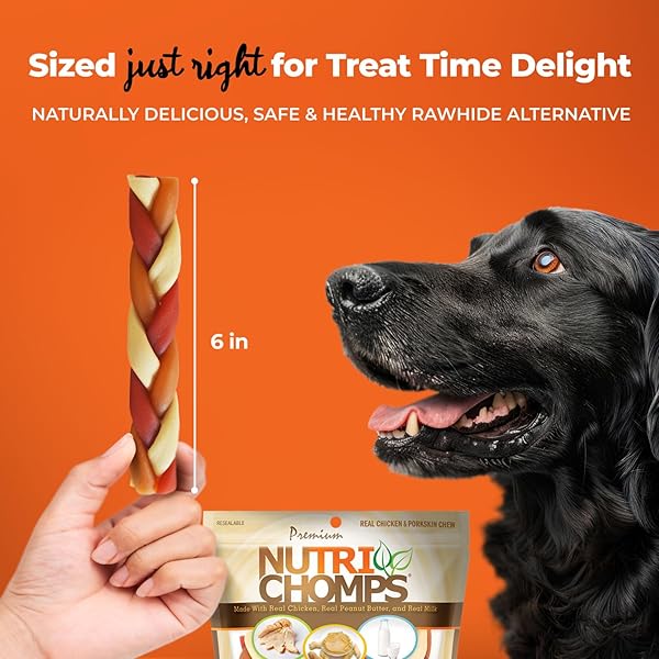 NUTRICHOMPS DOG CHEWS, 6-INCH BRAIDS, EASY TO DIGEST, RAWHIDE-FREE DOG TREATS, HEALTHY, 10 COUNT, REAL CHICKEN, PEANUT BUTTER AND MILK FLAVORS