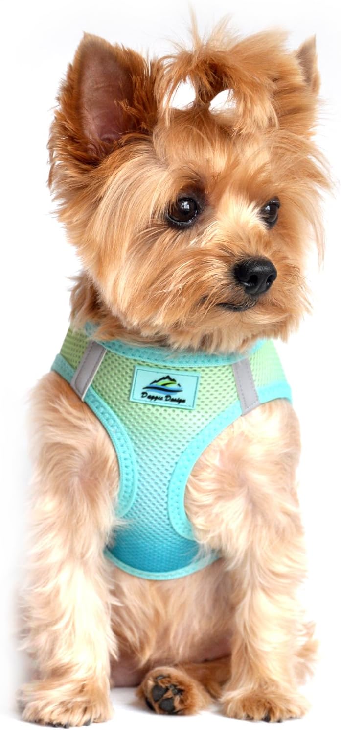 goats for adoption near me