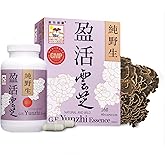 Turkey Tail Mushroom Capsules – Yunzhi Essence for Recovery, Health, and Wellness – Daily Immune and Digestive Support with Antioxidants – Pure Beta-Glucan Extract from Fruiting Bodies (60 Capsules)