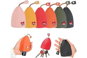 LIUCOCOTOS Vera Charms Key Holder Winkkey - Protective Pull out Key Case Wink Key Holder, Pull Out Key Case