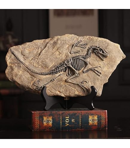 Amazon.com: Jurassic World Tyrannosaurus Rex Skull Resin