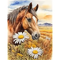 Meecaa Kit De Broderie Au Point De Croix Estampé, 11 CT, Kit