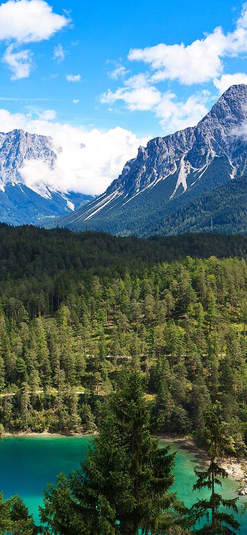 PeelitStickit, Beautiful Nature Wall Murals, ID-2872, vinyl