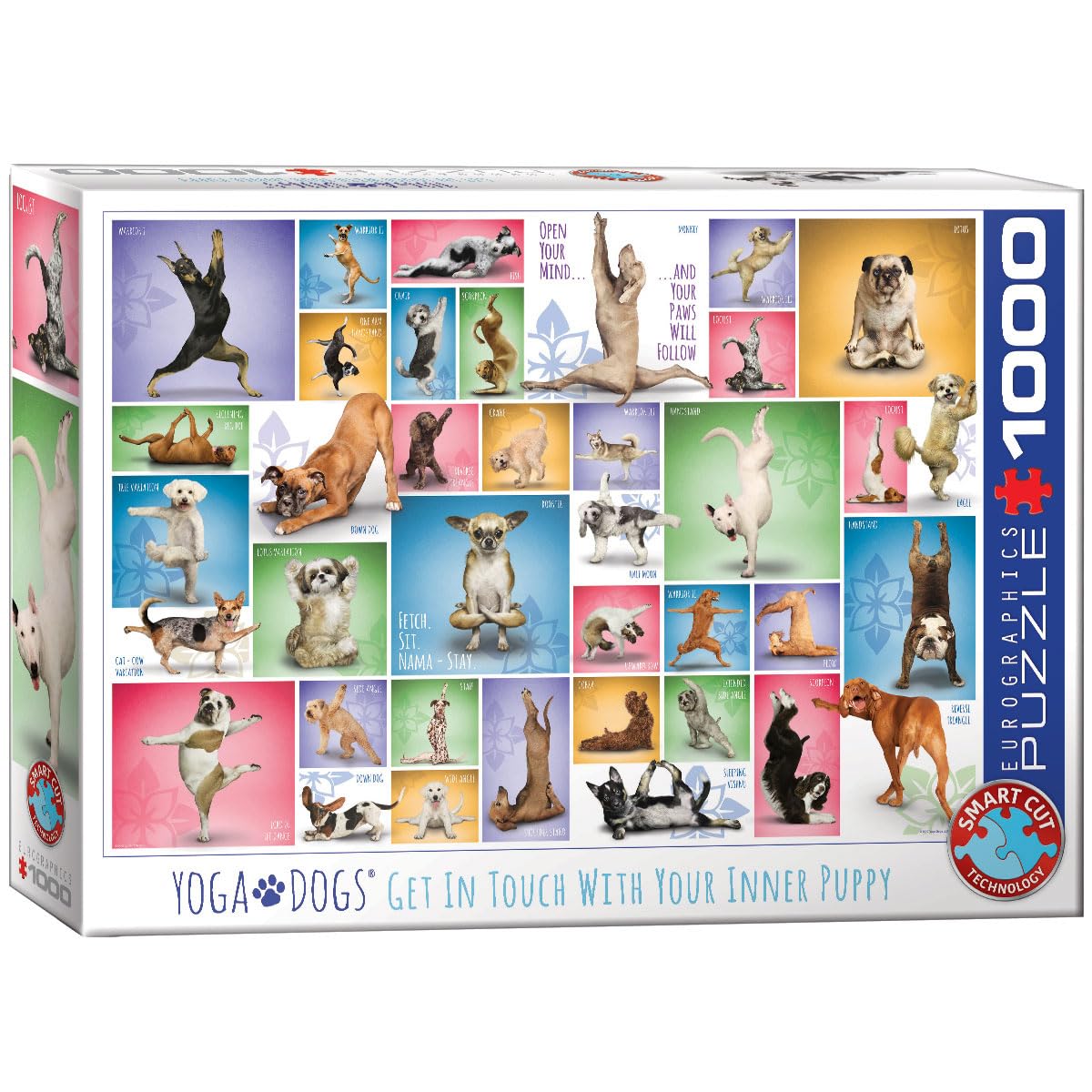Eurographics 6000-0954 "Yoga Dogs Puzzle (1000-Piece)