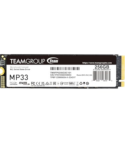 Amazon.com: Patriot Memory P320 256GB Internal SSD - NVMe PCIe Gen
