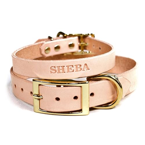 Genuine Leather Pet Dog Collar With Engraved Name Tag - Small Medium Sizes