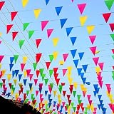 Pubiao 40M Bunting Banner 80 Flags Multicolor Nylon Triangle Flag Pennants view 9