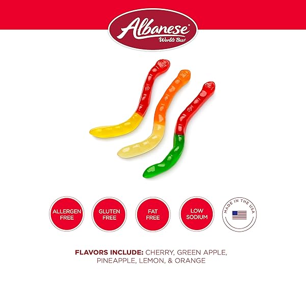 ALBANESE CANDY, LARGE ASSORTED FRUIT GUMMI WORMS, 5-POUND BAG