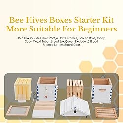 ACORNS Bee Hive Box Starter Kit, with 4 Beehive
