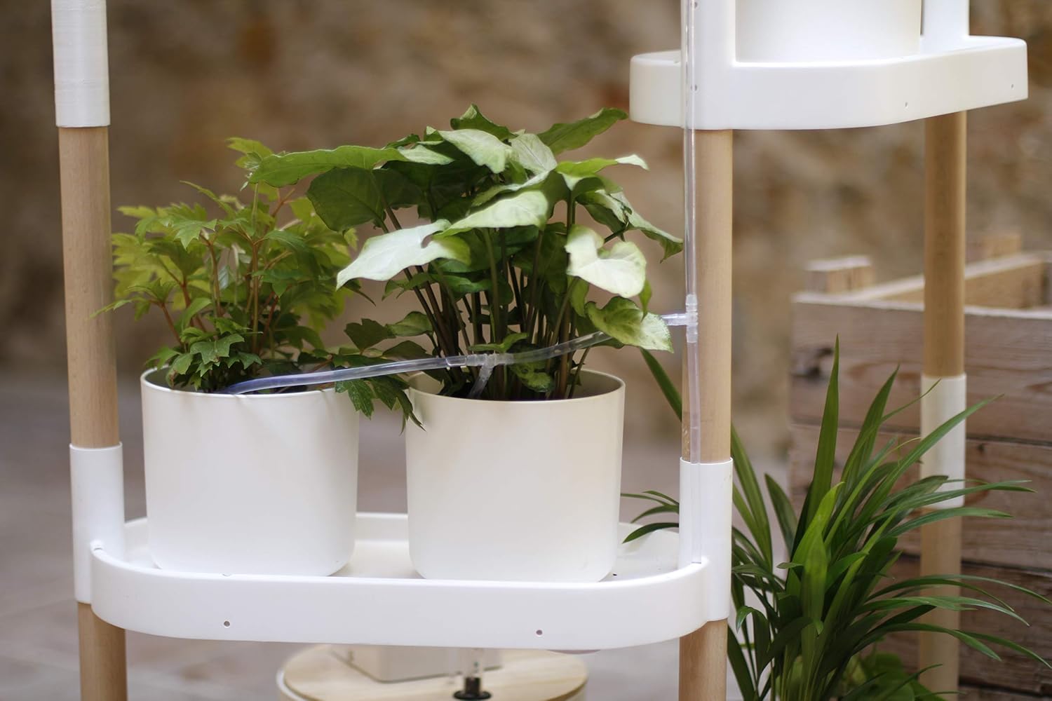 Citysens - Estantería para Plantas con riego automático, Blanca, 4 ...