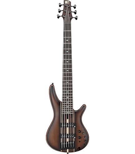 Amazon.com: Ibanez Bass Workshop EHB1265MS 5-string Bass Guitar