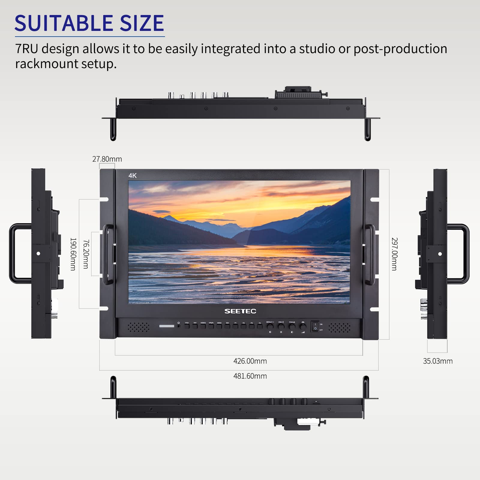 SEETEC P173-9HSD-RM 17.3