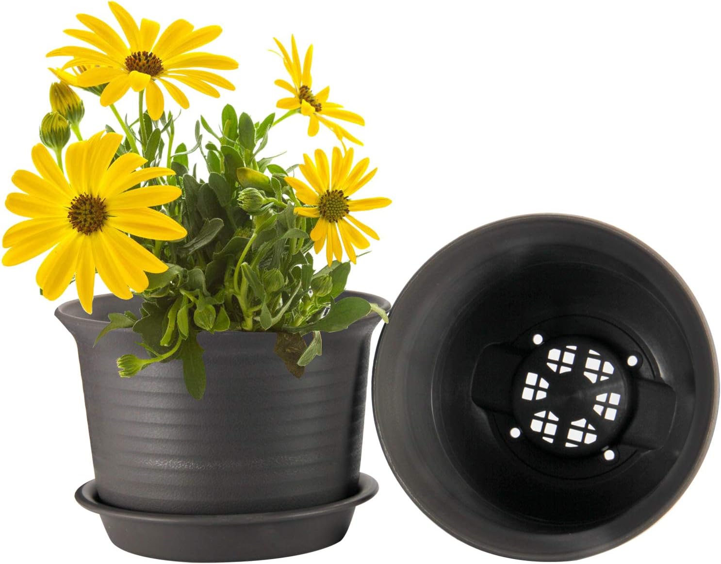 Plant Pots, ZOUTOG 6 inch Plastic Planters with Drainage Hole and Tray, Pack of 15 - Plants Not Included, Brown : Garden & Outdoor