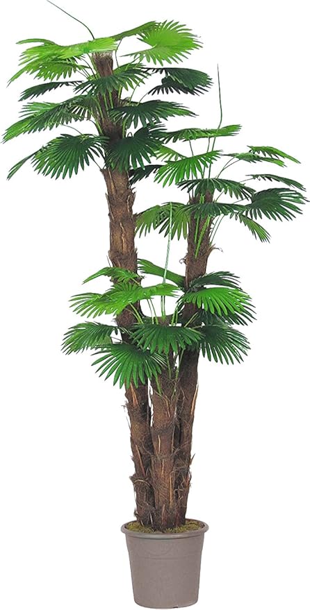 Amazon De Camerus Palma Kunstliche Baum Riesen Von Mobiliar Mit 3 Logs 168 240 300 Cm Hoch