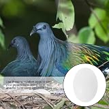 iplusmile 30Pcs Solid Plastic Pigeon Eggs to Stop Birds Laying Eggs Ornament view 4