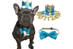 POSAPET Cat Dog Birthday Crown Hat and Bow Tie Collar Set Pet Boy Birthday Party Supplies (Blue)