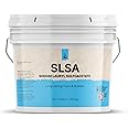 Pure Sodium Lauryl Sulfoacetate (SLSA) (1 Gallon) Long Lasting Foam & Bubbles, Gentle on Skin