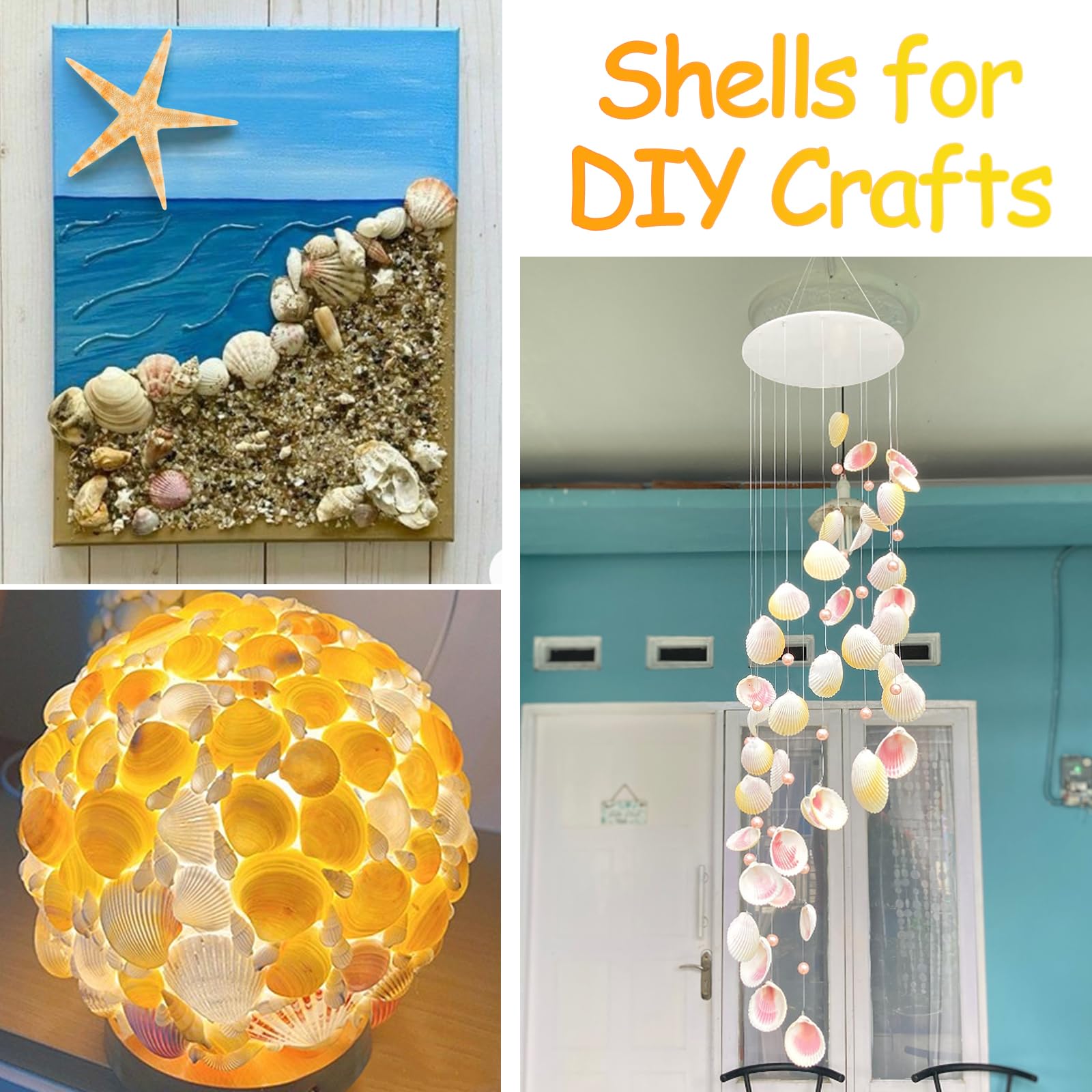 80+ Pcs Natural Seashells, Mixed Starfish Sea Shells for Crafts, Various Sizes Ocean Shells Conch for Decorating, Beach Theme Party, DIY Crafts, Fish Tank Filling, Home Decor, Wedding Decoration