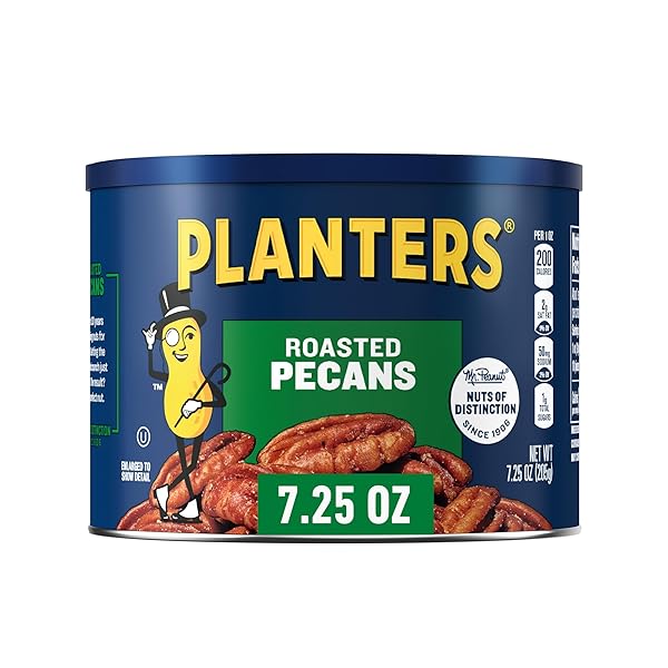 PLANTERS SALTED PECANS, INDIVIDUAL NUTS SNACK PACKS, 7.25 OUNCE, PACK OF 1
