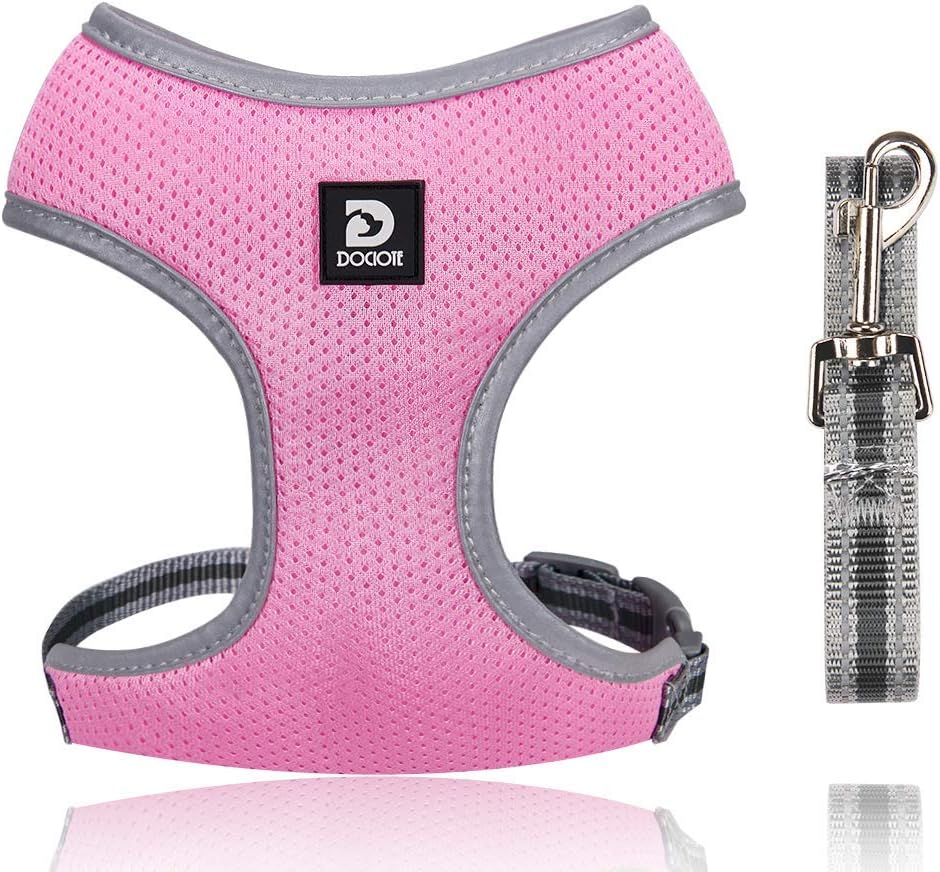 Dog Harness Small Dog Breathable Lightweight Puppy Harness and Lead Set