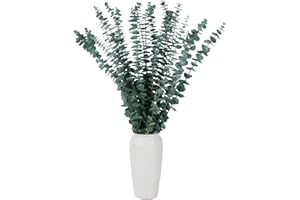 MIHUAGE 20 Pcs Dried Preserved Eucalyptus Stems 17" Natural Green Plant Made from Real Eucalyptus Branches for Vase，Flower Ar