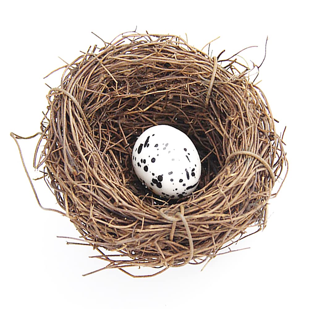 Birds Nest, Artificial Bird Nest Birdhouses, Garden Nature Art Craft Fake Bird's Nest Vintage Bird Cage Creative for Easter Spring Decor Optical Store Window Display (6CM)