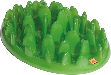 Amazon Com Green Interactive Feeder Large Slow Feed Dog Bowl