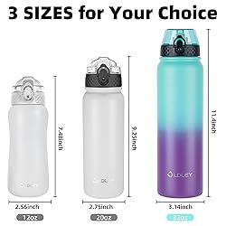 Oldley Insulated 32 oz Stainless Steel Water Bottle