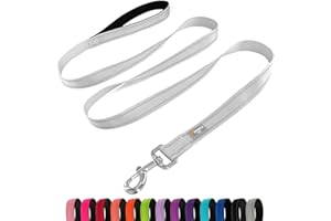 PenSeepet Dog Leash 6 FT Padded Handle Nylon Reflective Dogs Leashes for Medium Dogs Silver