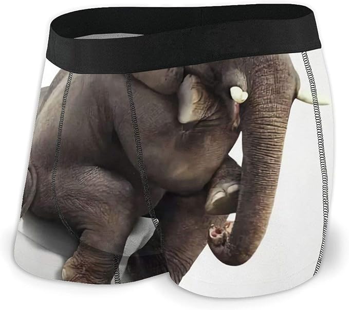 Mens Boxer Briefs Funny Indian Elephant Sitting On Toilet Soft