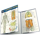 Anatomy of the Lymphatic System: a QuickStudy Laminated Reference Guide