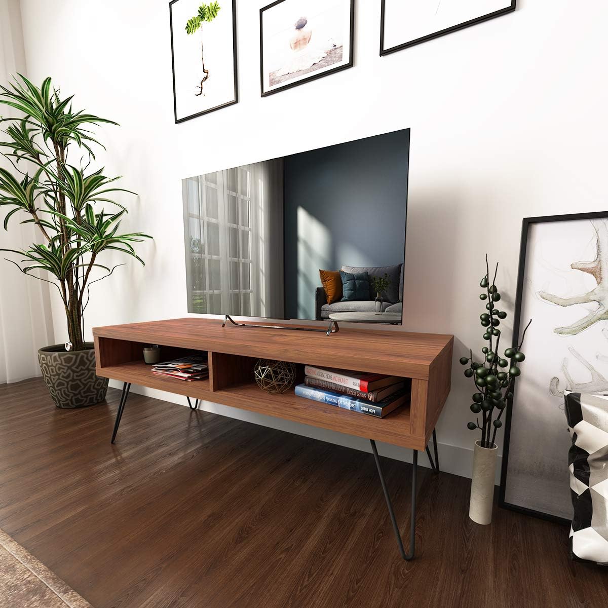 Best Mid Centry Modern Tv Stand