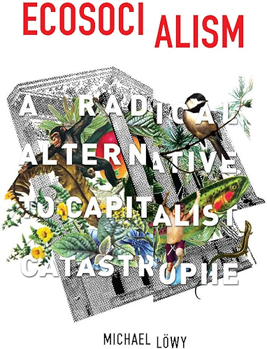 Download Ecosocialism: A Radical Alternative to Capitalist Catastrophe (English Edition) PDF