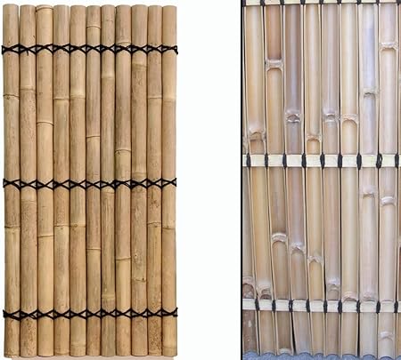 Sichtschutz Bambus Zaun Apas Gelblich Starre Verschnurrrung Druch 6 Bis 8cm 180 X 90cm Von Bambus Discount Bambuswand Sichtschutzwand Wand Aus Bambus Bambuselemente Amazon De Garten