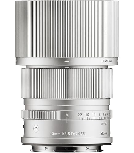 Amazon.com : Sigma 90mm F2.8 DG DN for L Mount : Electronics
