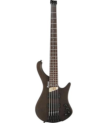 Amazon.com: Ibanez EHB Ergonomic Headless Bass Guitar - Arctic