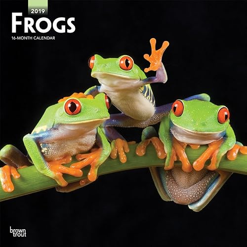 Download Frogs 2019 Calendar PDF